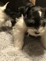 processed/f629c6cc-8265-4b49-8e8c-b4f03ffaf647/listing/aea17e14-66d4-4a68-92d1-9fa766fd17b0/849ccb33-163b-41fb-af7f-4021da2f34fa