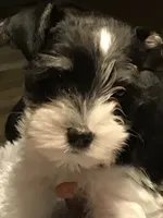 processed/f629c6cc-8265-4b49-8e8c-b4f03ffaf647/listing/aea17e14-66d4-4a68-92d1-9fa766fd17b0/da6447ba-dbc6-4933-ad31-4880c49082a4