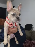 processed/f62c816f-11d2-470f-aca5-ecc1a2e3522f/listing/022e77e6-db7b-486b-bc3d-adebc19d173a/b40bca15-c9ee-4108-8b1c-fbe795b891f4