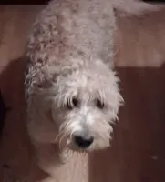 processed/f62ef558-b19a-4c7a-a32f-8c9350908e5f/facility/b2fa7e24-fb5c-4db2-9458-d4dd122e9cb9