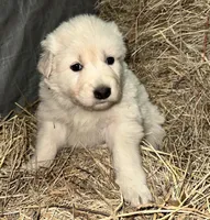 processed/f63126c2-f463-4849-97b5-3a960f4e07f9/listing/739941e0-f0b6-406c-9d99-6a7efc462a05/a16e5ab6-13b8-42d6-948c-86f8a2045515