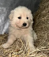 processed/f63126c2-f463-4849-97b5-3a960f4e07f9/listing/adee527a-7d91-4beb-b835-34dec2220d1e/4348bed2-9f13-4eb7-a0db-d3b06d464aba