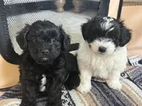 processed/f64c8be4-5b47-4cf6-9735-4acd4db799c6/facility/76b4f6bd-3bd1-48d4-b2f7-7ccbc712b1d3