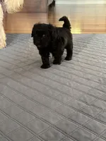 processed/f64c8be4-5b47-4cf6-9735-4acd4db799c6/facility/ae8668c2-9d80-4df1-bb3a-64bfc3480d65