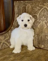 processed/f652b2f5-9519-4745-bc6e-07468fc0b040/listing/106e871c-6702-42d2-a917-4bce497d4c1a/135e35bc-816c-40b8-8612-b6a92f5a2bd7