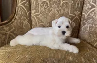 processed/f652b2f5-9519-4745-bc6e-07468fc0b040/listing/106e871c-6702-42d2-a917-4bce497d4c1a/1649d0cb-0404-48c6-904b-af8e061c6c39