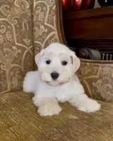 processed/f652b2f5-9519-4745-bc6e-07468fc0b040/listing/106e871c-6702-42d2-a917-4bce497d4c1a/72dc4133-d2f3-441e-af31-3c36838597da