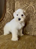 processed/f652b2f5-9519-4745-bc6e-07468fc0b040/listing/106e871c-6702-42d2-a917-4bce497d4c1a/92515cc2-1fb7-4440-a4cf-d9f1ef147957