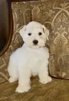 processed/f652b2f5-9519-4745-bc6e-07468fc0b040/listing/106e871c-6702-42d2-a917-4bce497d4c1a/9379ff6d-5fe5-428a-8309-a4cb6dc37dc6