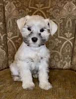 processed/f652b2f5-9519-4745-bc6e-07468fc0b040/listing/783a8f02-1d27-473e-94e2-5183266672e8/103d6bac-c919-4da3-956e-d23aeda89c78