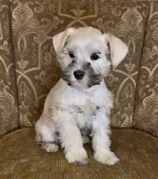 processed/f652b2f5-9519-4745-bc6e-07468fc0b040/listing/783a8f02-1d27-473e-94e2-5183266672e8/265965ec-b126-4940-b38d-baf75c6c4069