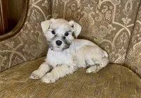 processed/f652b2f5-9519-4745-bc6e-07468fc0b040/listing/783a8f02-1d27-473e-94e2-5183266672e8/495afc6f-4ccc-4cfe-a0a3-ec4d7d2ab529