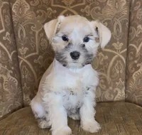 processed/f652b2f5-9519-4745-bc6e-07468fc0b040/listing/783a8f02-1d27-473e-94e2-5183266672e8/75ec7fa9-898b-460b-8c87-c41afa7aa058