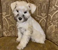 processed/f652b2f5-9519-4745-bc6e-07468fc0b040/listing/783a8f02-1d27-473e-94e2-5183266672e8/a54af1a0-241a-4fe9-9450-13f05cd3282b