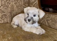 processed/f652b2f5-9519-4745-bc6e-07468fc0b040/listing/783a8f02-1d27-473e-94e2-5183266672e8/bfba31fe-063c-4360-bc92-74a8312c36c4