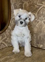 processed/f652b2f5-9519-4745-bc6e-07468fc0b040/listing/783a8f02-1d27-473e-94e2-5183266672e8/ca835e3d-71f1-4ed3-bc1a-15554456e747