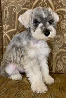 processed/f652b2f5-9519-4745-bc6e-07468fc0b040/listing/caf2fbd6-a401-4c03-a140-23f4ac268d8f/11f45716-6c2d-4f42-83f0-3020758d60ff