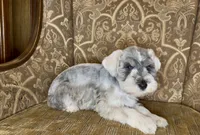 processed/f652b2f5-9519-4745-bc6e-07468fc0b040/listing/caf2fbd6-a401-4c03-a140-23f4ac268d8f/1a485f26-b174-422b-bc6c-d3f3b24be664