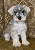 processed/f652b2f5-9519-4745-bc6e-07468fc0b040/listing/caf2fbd6-a401-4c03-a140-23f4ac268d8f/414fca75-784f-47d6-86d2-969c09e80a9f