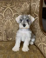 processed/f652b2f5-9519-4745-bc6e-07468fc0b040/listing/caf2fbd6-a401-4c03-a140-23f4ac268d8f/87876588-9dd2-45bd-9c11-68a78cbccf7b