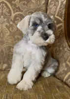 processed/f652b2f5-9519-4745-bc6e-07468fc0b040/listing/caf2fbd6-a401-4c03-a140-23f4ac268d8f/c23643ff-9145-4b4d-8fbd-9577fff53ee1