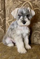 processed/f652b2f5-9519-4745-bc6e-07468fc0b040/listing/caf2fbd6-a401-4c03-a140-23f4ac268d8f/c808e368-e041-4e13-a995-94cf484c3ec0