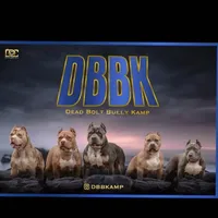 processed/f653d329-a75d-42b6-b8c6-ff09caf0fdc0/facility/23ac36b2-dc3f-4190-8b9d-0f1febfcb125