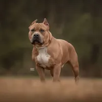 processed/f653d329-a75d-42b6-b8c6-ff09caf0fdc0/facility/28218fa4-fdf4-4a68-9b7b-ff3b6efa7d3b