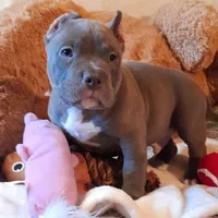 processed/f653d329-a75d-42b6-b8c6-ff09caf0fdc0/facility/2e13dbee-29f7-47fe-8b0c-af1f7aafadca