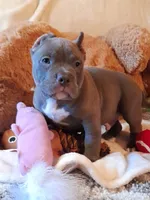 processed/f653d329-a75d-42b6-b8c6-ff09caf0fdc0/facility/2e13dbee-29f7-47fe-8b0c-af1f7aafadca