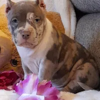 processed/f653d329-a75d-42b6-b8c6-ff09caf0fdc0/facility/452ede73-299c-4359-875b-a0d6eff414ea