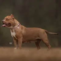 processed/f653d329-a75d-42b6-b8c6-ff09caf0fdc0/facility/5a8aad2e-70ba-48fb-8eea-f0d685a05bfa