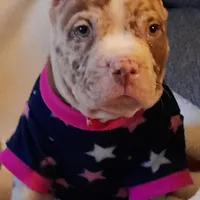 processed/f653d329-a75d-42b6-b8c6-ff09caf0fdc0/facility/90d663b9-8a2d-4440-98d8-b1df3e1168d4