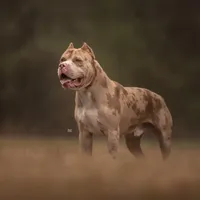 processed/f653d329-a75d-42b6-b8c6-ff09caf0fdc0/facility/9e650a15-b467-4600-8874-79b8dd2023eb