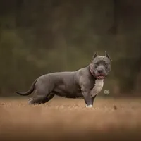 processed/f653d329-a75d-42b6-b8c6-ff09caf0fdc0/facility/9e81f946-219e-499c-941b-683378937924