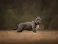 processed/f653d329-a75d-42b6-b8c6-ff09caf0fdc0/facility/9e81f946-219e-499c-941b-683378937924