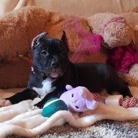 processed/f653d329-a75d-42b6-b8c6-ff09caf0fdc0/facility/d1bd0f97-9987-44ef-86a8-21b0d145cbea