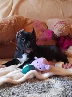 processed/f653d329-a75d-42b6-b8c6-ff09caf0fdc0/facility/d1bd0f97-9987-44ef-86a8-21b0d145cbea