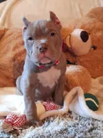 processed/f653d329-a75d-42b6-b8c6-ff09caf0fdc0/facility/d2946d00-f53b-40b9-b14a-296434358ceb