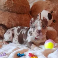 processed/f653d329-a75d-42b6-b8c6-ff09caf0fdc0/facility/f6a8de1e-531e-40ed-814c-0b4a1fad1b1e