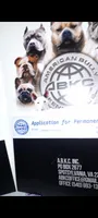 BOOGIE, a male American Bully for sale in Moultrie, GA – 9 of 9