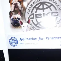 TITAN, a male American Bully for sale in Moultrie, GA – Photo 9 of 9