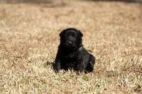 processed/f65538cf-e1eb-4920-bfe0-f05a43be8b62/listing/39469889-a39d-4a1d-b204-e3d168232cf0/b4d053e1-0159-4883-b110-e45d1260c47d