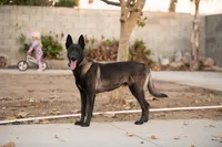 processed/f65538cf-e1eb-4920-bfe0-f05a43be8b62/listing/8f639358-f4e4-42ec-b75b-3de5b3a446e8/55eb6555-8dcb-42e1-9294-717ede68e8fa