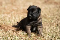 processed/f65538cf-e1eb-4920-bfe0-f05a43be8b62/listing/8f639358-f4e4-42ec-b75b-3de5b3a446e8/8306cb10-d94e-4ae3-8b6f-8f853378f210