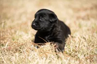 processed/f65538cf-e1eb-4920-bfe0-f05a43be8b62/listing/c39dbd09-8944-4fd2-9dab-99542c8d9a76/f4035ae2-85f8-4a43-9d80-8f7657e00dba