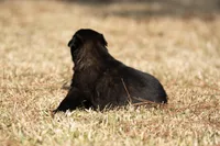 processed/f65538cf-e1eb-4920-bfe0-f05a43be8b62/listing/c471ef69-81a4-495e-9486-f8369ae0563f/c062d436-5158-4e1b-b2f7-9423ede41b42