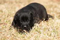 processed/f65538cf-e1eb-4920-bfe0-f05a43be8b62/listing/c471ef69-81a4-495e-9486-f8369ae0563f/d54d484f-5588-46ad-8dd0-43c78e5147bb