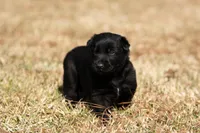 processed/f65538cf-e1eb-4920-bfe0-f05a43be8b62/listing/f9fe3cf3-7729-457c-a41b-4b1cd28695f5/29e8c1a7-337e-4115-8b64-bb80850ef568