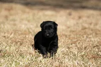 processed/f65538cf-e1eb-4920-bfe0-f05a43be8b62/listing/fbdcffbc-56fd-453a-9ae5-22daf0690144/57050bdb-92cc-4591-bfbe-033fc855b381